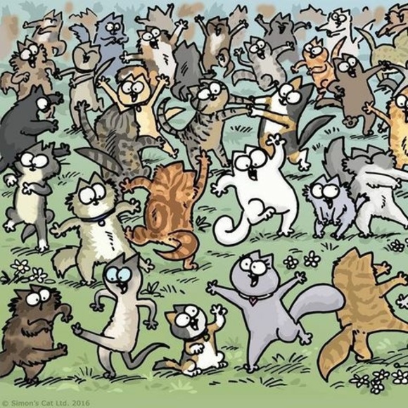 Meet your Posher, Susan - Picture 1 of 1